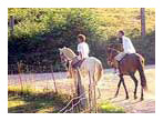 Riding horses