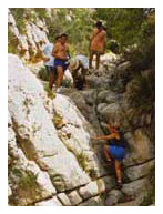 Tourist of Guide